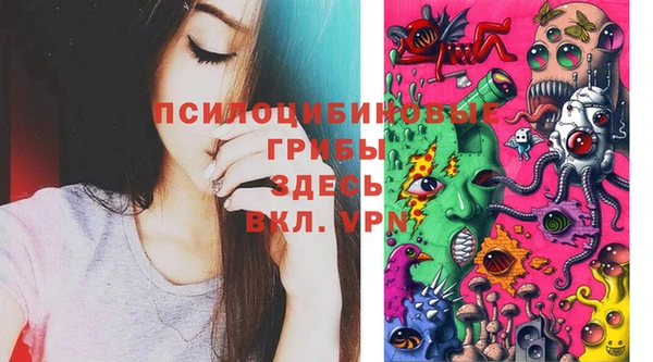 эйфоретик Алексеевка